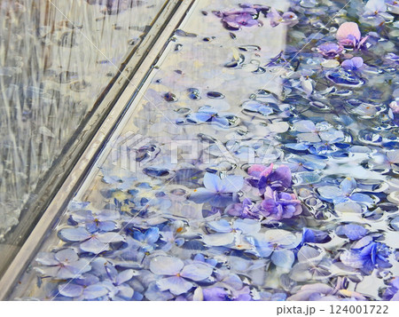 花手水で美しく飾られた手水舎 124001722