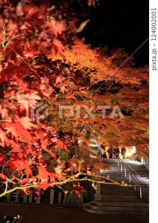 大山阿夫利神社・大山寺付近で紅葉シーズンのライトアップ　夜景　神奈川県伊勢原市 124002001