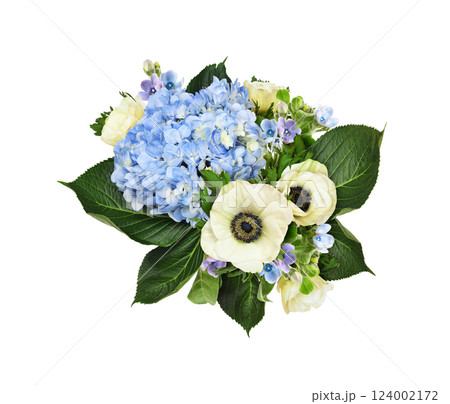Blue hydrangea, white anemone flowers in a floral arrangement isolated 124002172