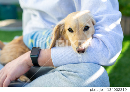 庭で遊ぶ成犬 カニンヘンダックスフンド 庭で遊ぶ成犬 カニンヘンダックスフンド 124002219