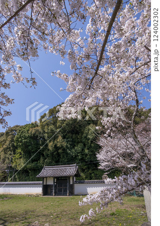 オヤネザクラ 旧豊宮崎文庫 伊勢神宮外宮に隣接した桜の名所 オヤネザクラ 旧豊宮崎文庫 伊勢神宮外宮に隣接した桜の名所 124002302