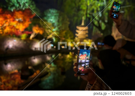 Tourist poeple photo autumn Toji temple garden light up, Kyoto 124002603