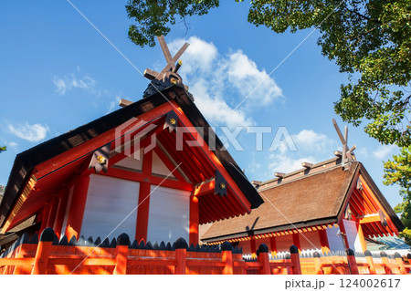 Sumiyoshi Taisha Grand Shrine against blue sky in autumn, Osaka, 124002617