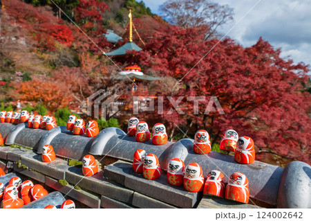 Daruma dolls on roof by autumn garden of Katsuoji temple pagoda 124002642