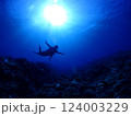 青い海とダイバー 124003229