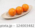 美味しいオレンジ 124003482