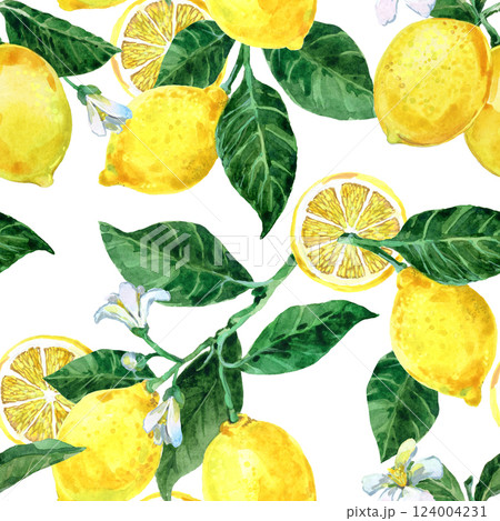 watercolor seamless pattern with lemon fruit branches on a white background 124004231