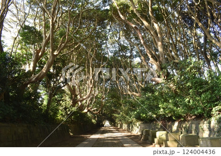酒列磯前神社、神社、参道、ひたちなか市 124004436