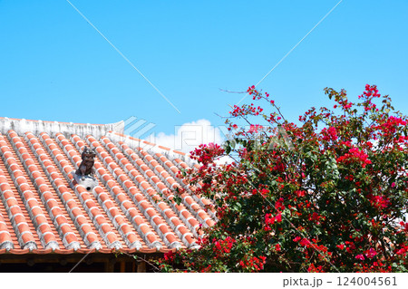 沖縄　竹富島　 124004561