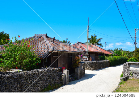 沖縄 竹富島 原風景 沖縄 竹富島 原風景 124004689