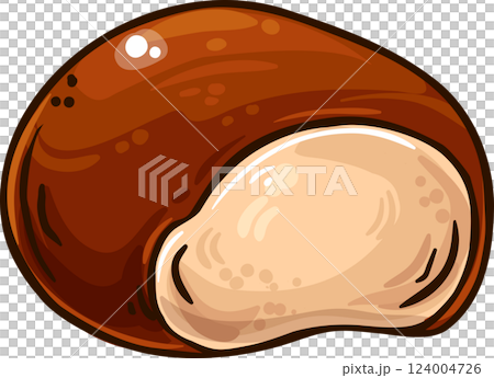 Chestnut Nut Colored Detailed Illustration Chestnut Nut Colored Detailed Illustration 124004726