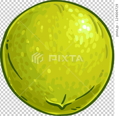 Walnut Colored Detailed Illustration. Organic natural nutritional healthy food ingredient, vegetarian diet product.  124004729