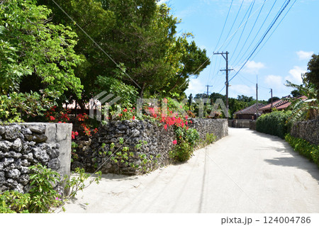 沖縄　竹富島　原風景 124004786
