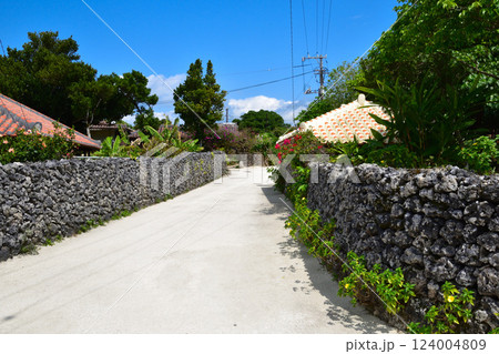 沖縄　竹富島　原風景 124004809