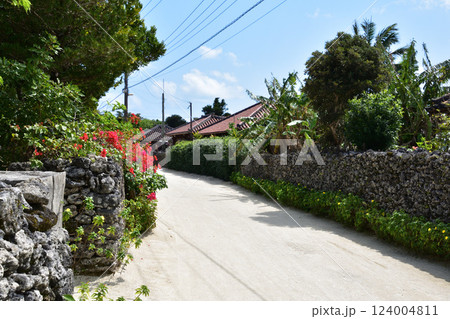 沖縄 竹富島 原風景 沖縄 竹富島 原風景 124004811