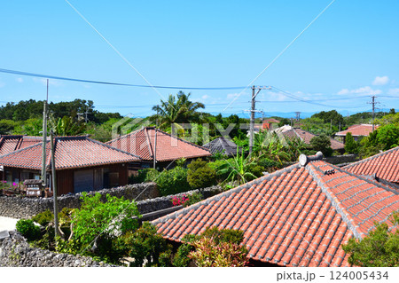 沖縄　竹富島　原風景 124005434