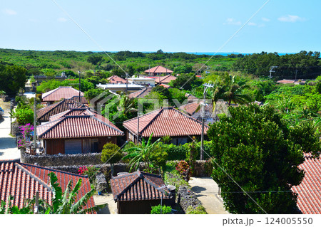 沖縄 竹富島 原風景 沖縄 竹富島 原風景 124005550
