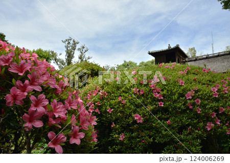 春の詩仙堂丈山寺　サツキと嘯月楼(京都市左京区) 124006269