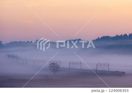 朝もやのE217系 124006303