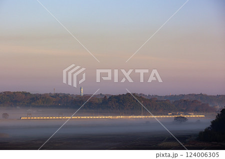 朝もやのE217系 朝もやのE217系 124006305