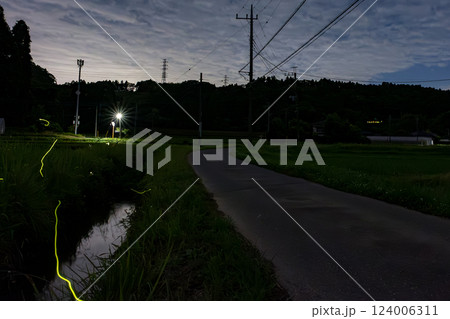 ゲンジボタルの光跡 124006311