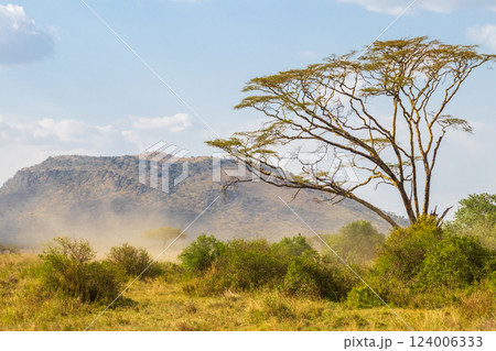 View of Serengeti national park, Tanzania View of Serengeti national park, Tanzania 124006333