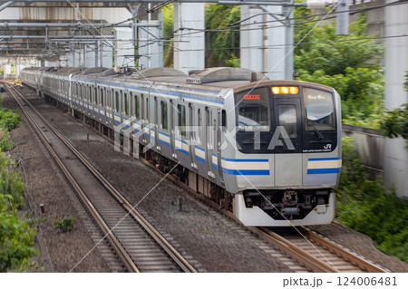 横須賀線E217系 横須賀線E217系 124006481
