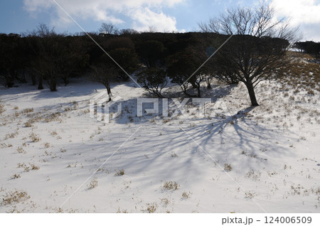 雪の入道ヶ岳 124006509