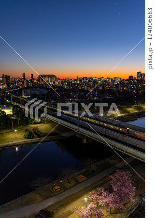 夕方の河津桜とE217系 夕方の河津桜とE217系 124006683