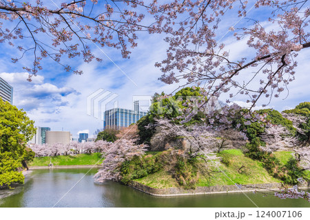 千鳥ケ淵　満開の桜 124007106