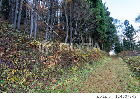 歴史的な古道「塩の道」とその周辺 124007545