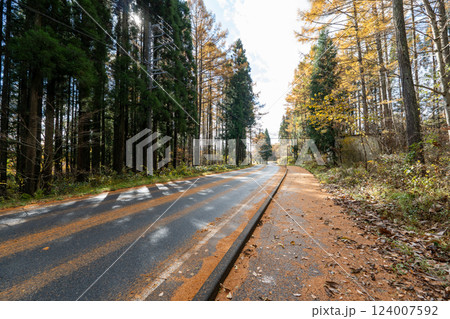 歴史的な古道「塩の道」とその周辺 124007592