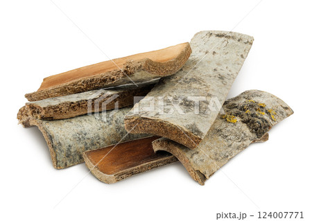 piece of aspen bark isolated on white background. 124007771