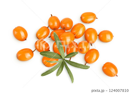 Sea buckthorn. Fresh ripe berry with leaves isolated on white background. Top view. Flat lay 124007810