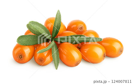 Sea buckthorn. Fresh ripe berry with leaves isolated on white background macro 124007811