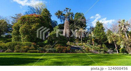 Vibrant garden with palm trees and lush greenery under blue sky 124008456
