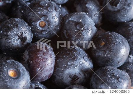 ブルーベリーのクローズアップ ブルーベリーのクローズアップ 124008866