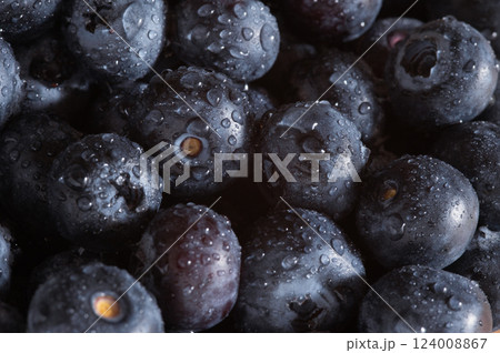 ブルーベリーのクローズアップ 124008867