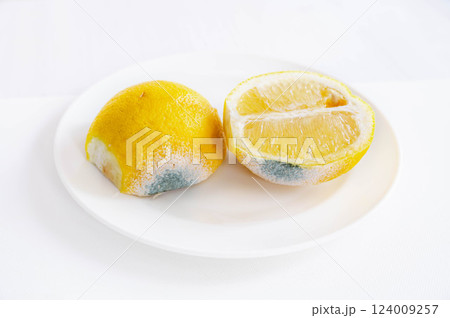 半分にカットしたカビが生えたレモン 半分にカットしたカビが生えたレモン 124009257