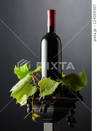 Red wine with blue grapes and vine branches. Red wine with blue grapes and vine branches. 124009307