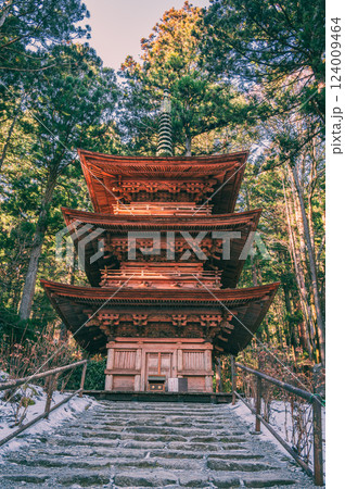 【光前寺】三重塔【駒ヶ根市】 124009464
