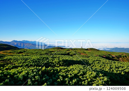 大雪山系 旭岳から望む十勝岳連峰と雲海 大雪山系 旭岳から望む十勝岳連峰と雲海 124009508