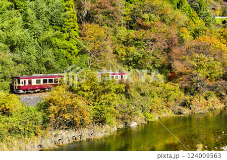 わたらせ渓谷鉄道・トロッコ列車・紅葉 124009563