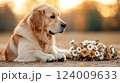Happy dog in a flower meadow wearing a floral crown during a sunny day enjoying nature's beauty 124009633