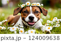 Happy dog in a flower meadow wearing a floral crown during a sunny day enjoying nature's beauty 124009638
