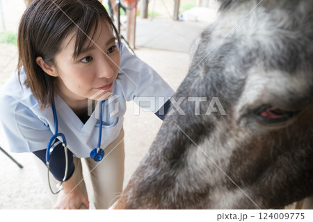 involved with horses 124009775