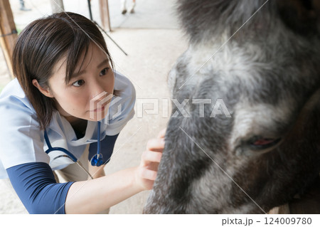 involved with horses involved with horses 124009780