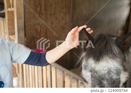 involved with horses 124009784