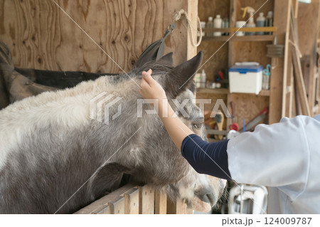 involved with horses 124009787