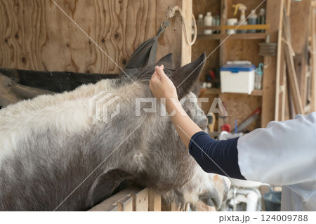 involved with horses involved with horses 124009788